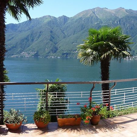 Pino Lago Maggiore Casa Roccia 아파트 외부 사진